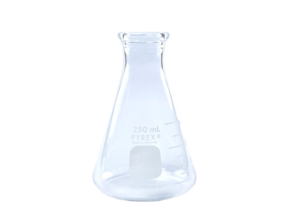 Erlenmeyer flask 25 ml Pyrex